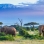 Safarimatka: Kenian safari ja Etel-Mombasa