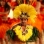 Marquesassaaret  Polynesialaista eksotiikkaa