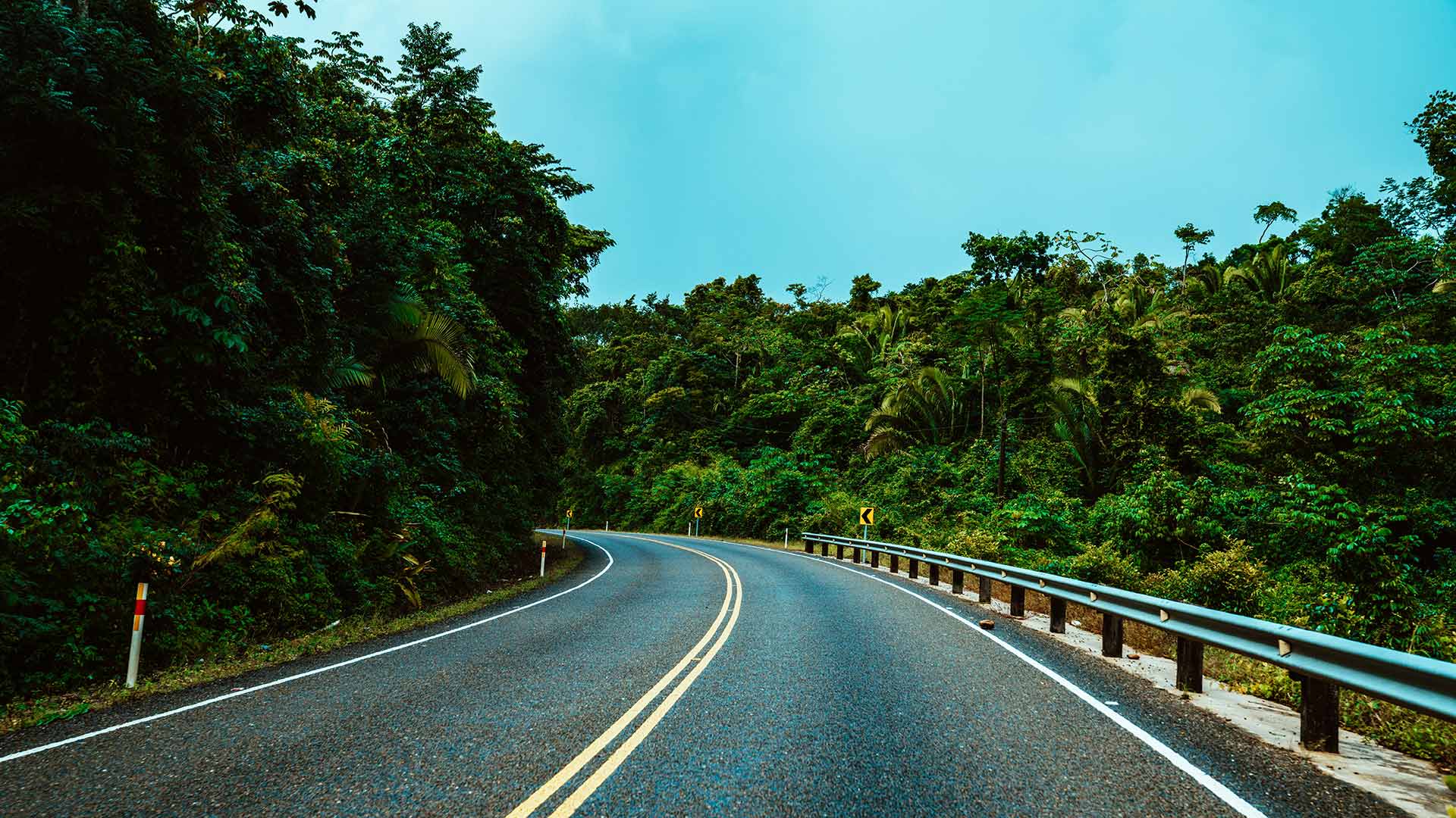 Tie kulkee Belizen luontomaiseman läpi